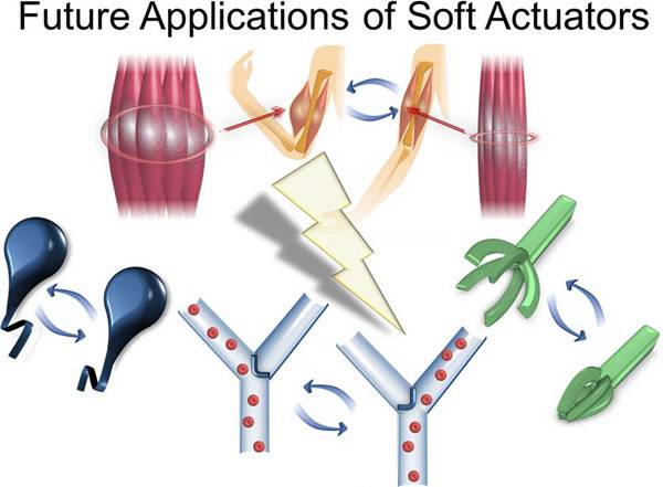 Monils - 默尼離子液體